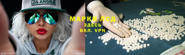 прущий лед Заводоуковск