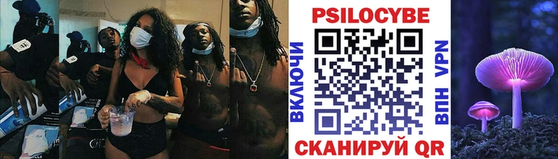 Купить закладки  Аткарск  Галлюциногенные грибы Psilocybe 